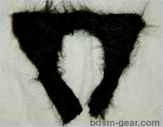 cat ears