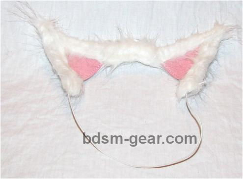 cat ears