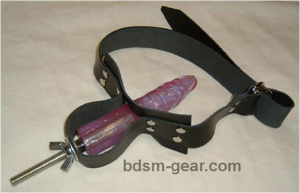 Adjustable Training Gag