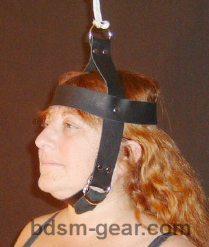 Suspension head harness