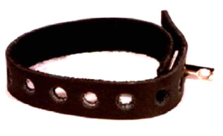 CBT Locking Cock Ring