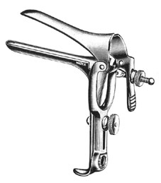 Stainless Steel Collins Speculum, medical play, slave humiliation and anal play, bdsm and bondage gear