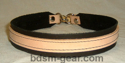 discreet collar