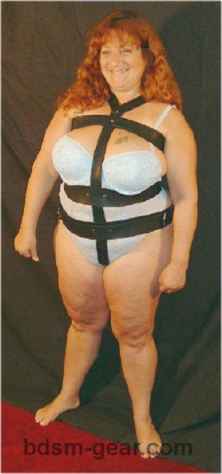 suspension harness