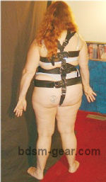suspension harness