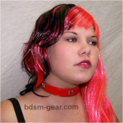Dog Bone Collar