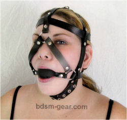 Black Gag With 3 Strap Harness