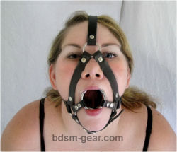 Double Ring Gag with Harness