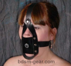 Slave Training Post Gags with Head Harness