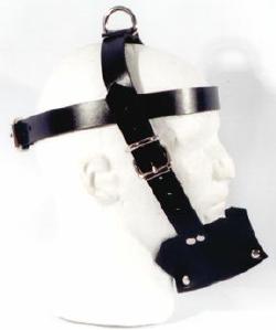 Jaw Locking Harness