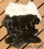 white and brown rabbit hides to make your own gear