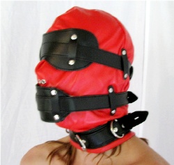 Red and Black Leather Hood