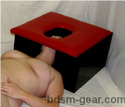BDSM Smother Box