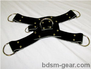 bondage hogtie