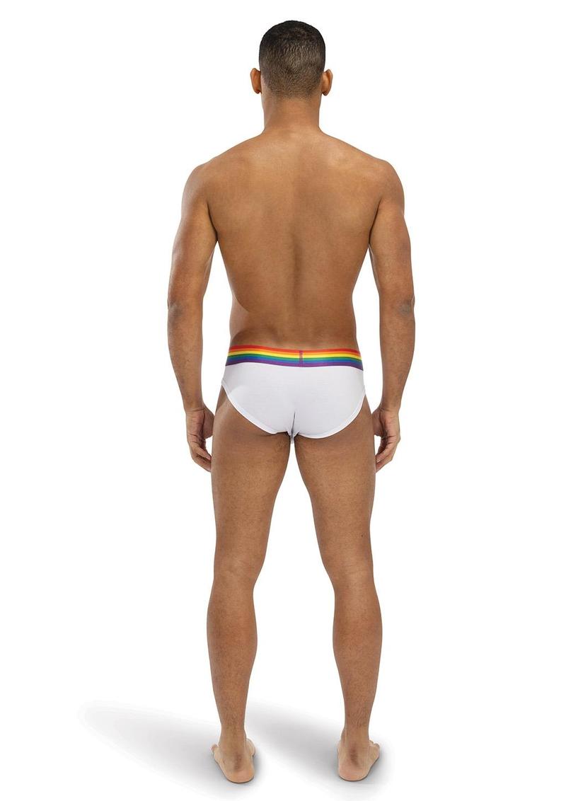Envy Rainbow Radiant White and Rainbow Sm Med