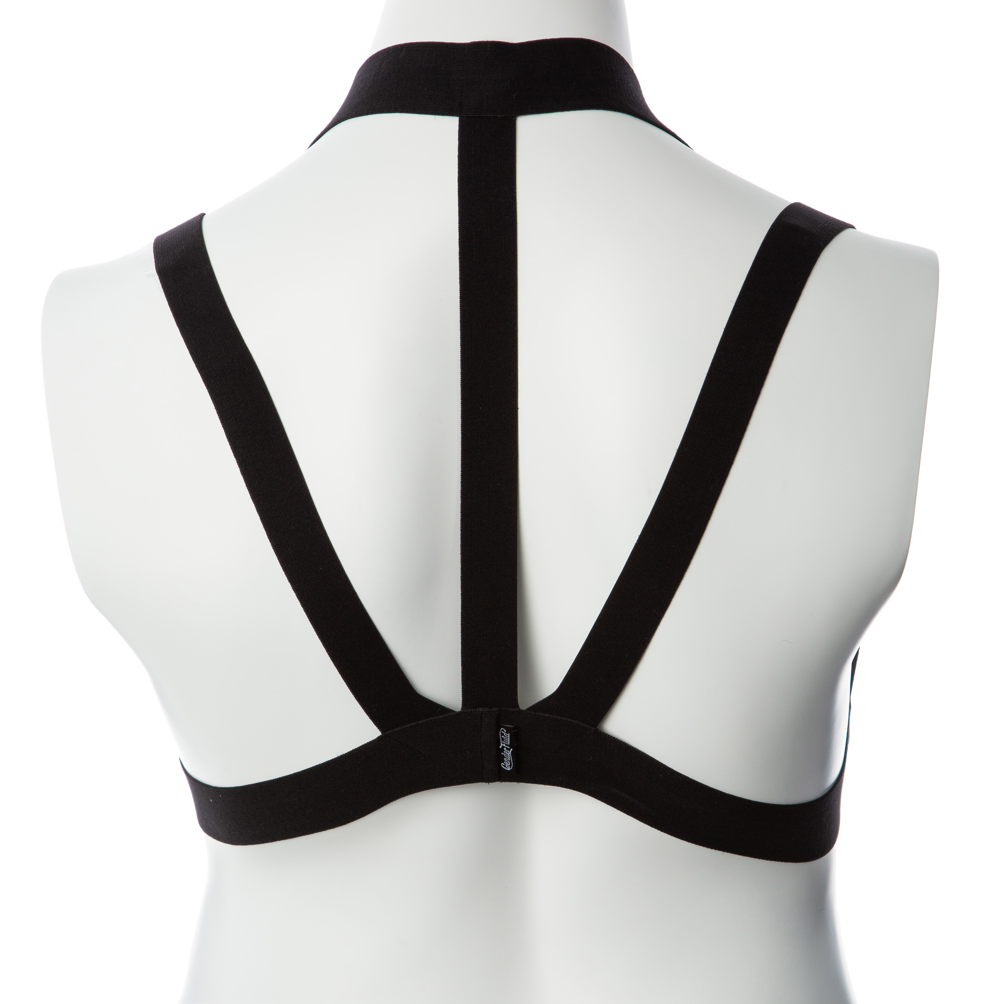 Gender Fluid Majesty Harness