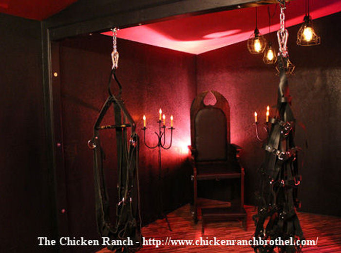 BDSM erotic Fifty shades of grey 50 shades of grey bdsm dungeon furniture