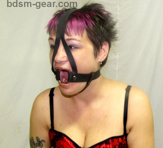 Steel Gag with Harness