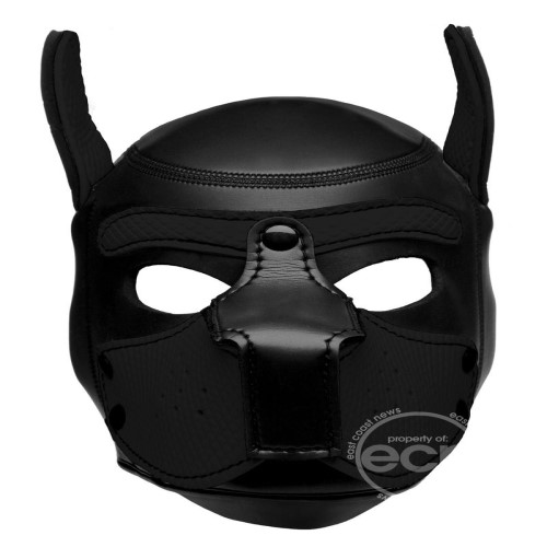bdsm gags and head gear in our store