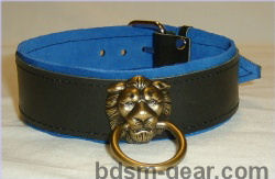 Black leather collar with blue suede lining and bronze lion head and ring