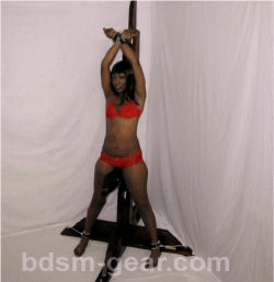 torture or whipping post